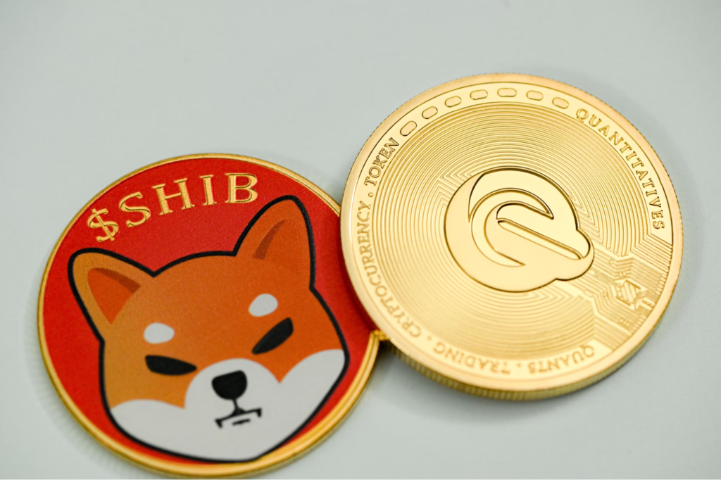 BlockDAG, Shiba Inu, and Fantom: Assessing the Most Promising Crypto Investment for 2024