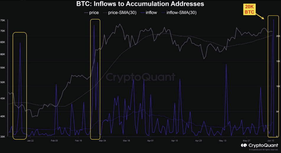 BTC flow to wallets