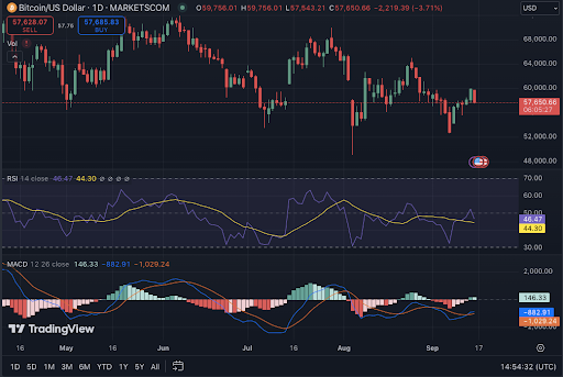 Bitcoin’s Bearish Triple Top: Schiff’s Dire Warning for Hodlers