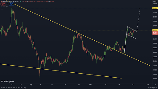 Altcoin Rally: AVAX Targets , TON Eyes .33, and WIF Poised for 145% Gain