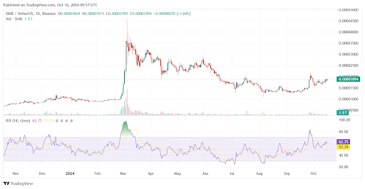 Shiba Inu (SHIB) Charts Suggest Potential for Larger Upward Diagonal