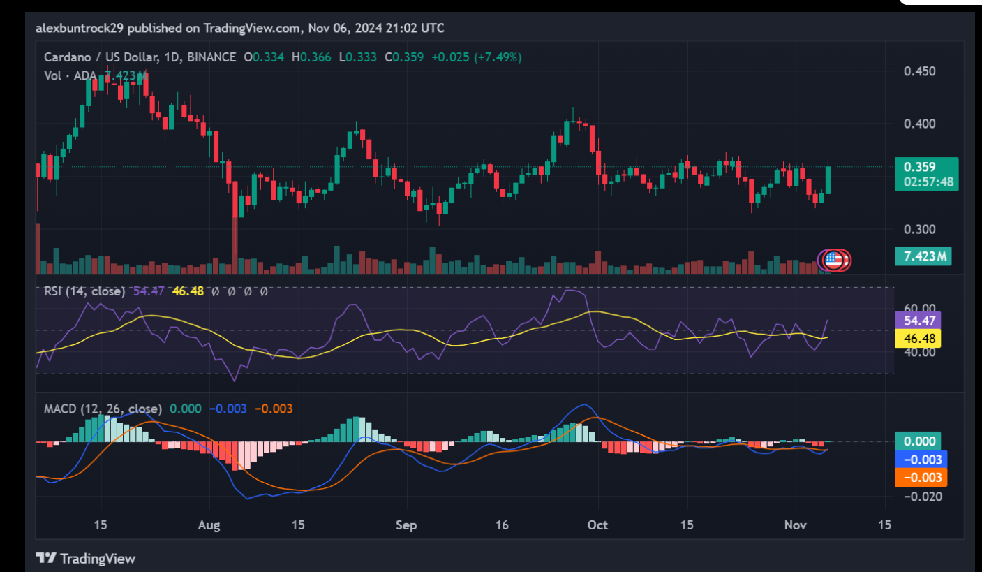 Polkadot vs. Cardano: Which Altcoin Will Lead the Next Bull Run?