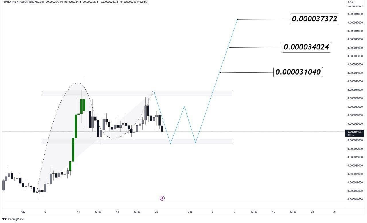 How High Can Shiba Inu Price Climb If Bitcoin Hits 0,000?