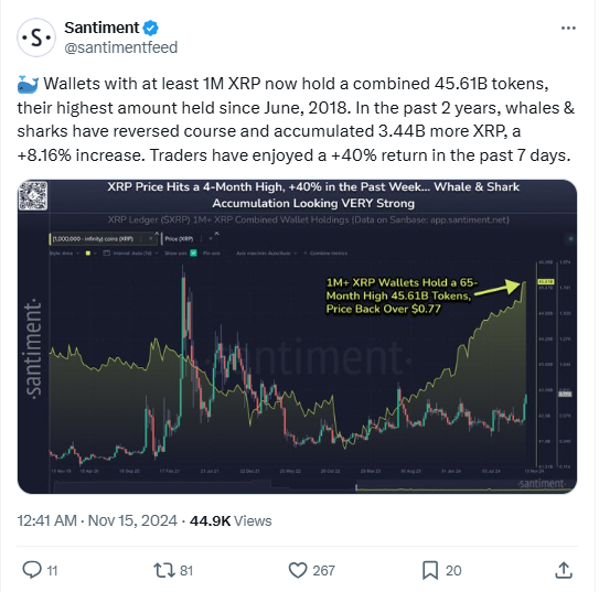 Why Has XRP Surged to a 4-Month High? Whales, Musk, and Market Momentum