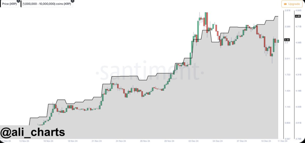 Ali Martinez highlights Ripple whales accumulation