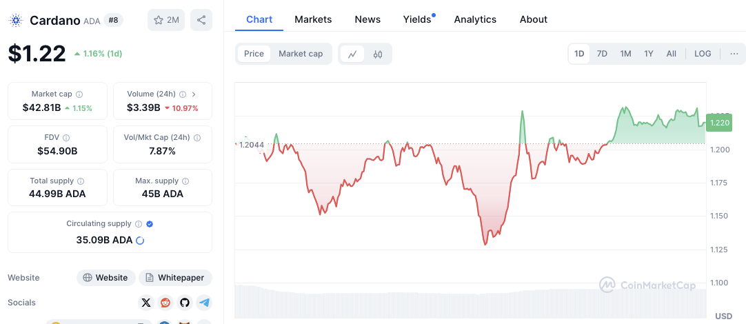 JasmyCoin Rally Sparks ADA 2021 Comparisons, Gains 20.92%